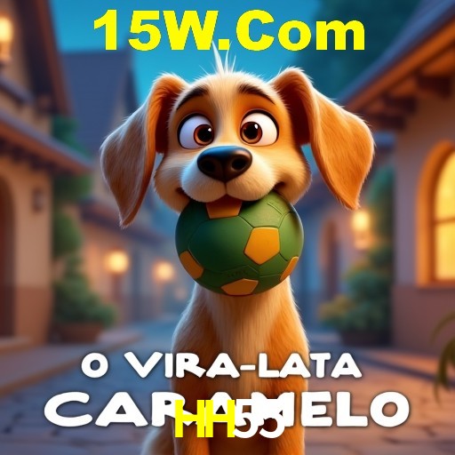 HH55 Brasília - Crash Guide